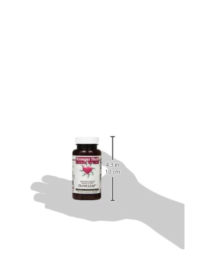 Olive Leaf Herbal Supplement - 100 Vegetarian Capsules