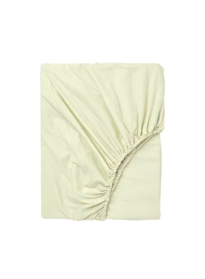 Orchard Exclusive Cream Queen Size Fitted Sheet 160x210Cm (Set of 1 Pc) Cotton percale Weave, Soft and Luxurious, High Quality Bed linen-180TC