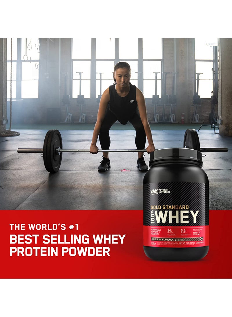 Gold Standard 100% Whey Protein Powder 5 lbs (Double Rich Chocolate)