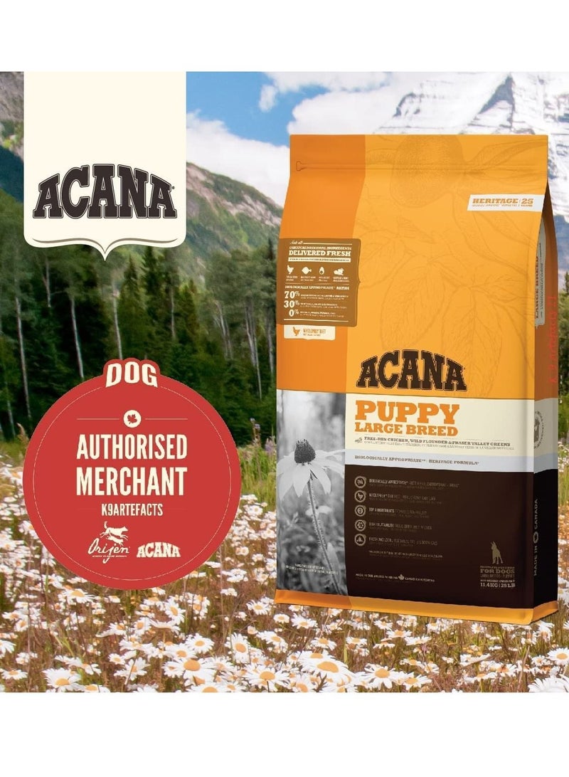 Acana Puppy Large Breed Dogs Dry Food 11.4Kg