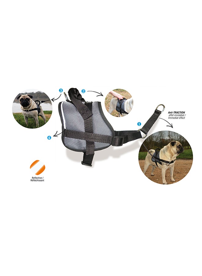 Nylon Pet Harness Multicolour Medium