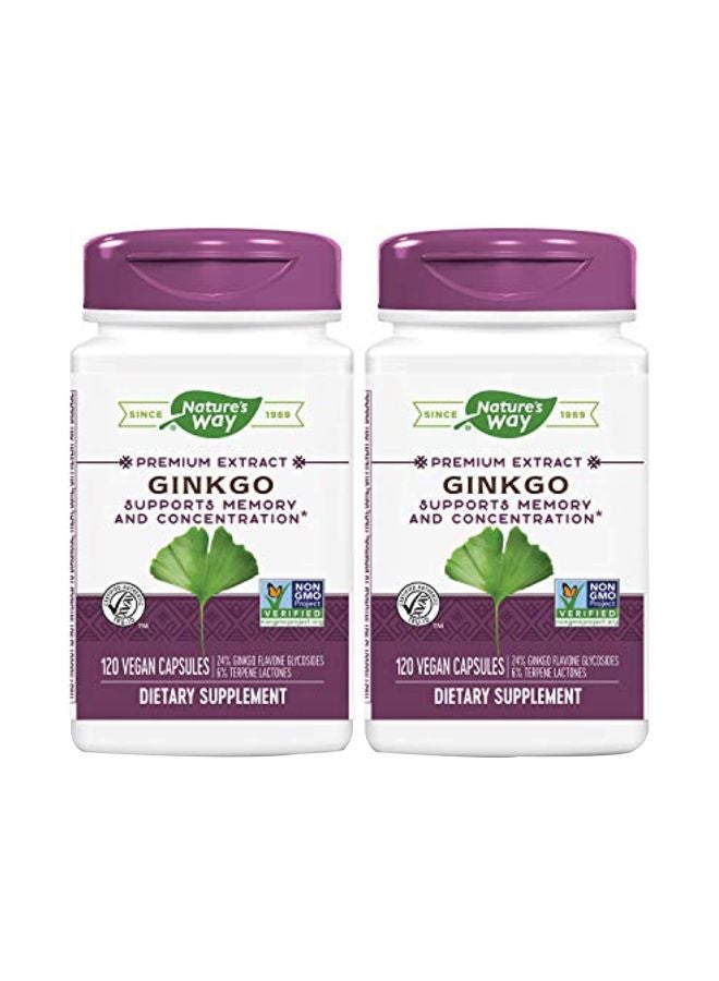 Ginkgo Dietary Supplement - 120 Vegetarian Capsules