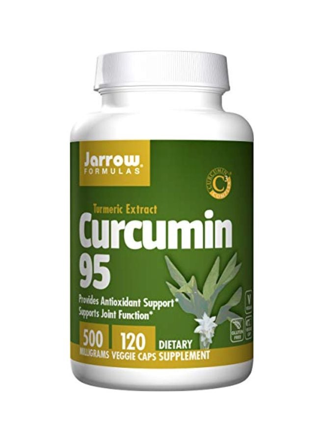 Curcumin 95 Dietary Supplement - 120 Capsule