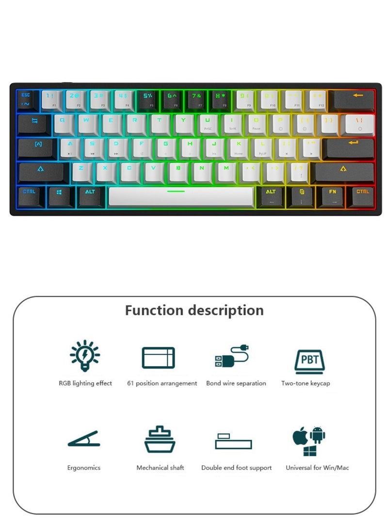 Mechanical Keyboard 61 Keys PBT Translucent Dual-Color Injection Keycaps RGB Backlight Detachable Type-C Wired 60% Gaming Keyboard Black/White - Blue Switch