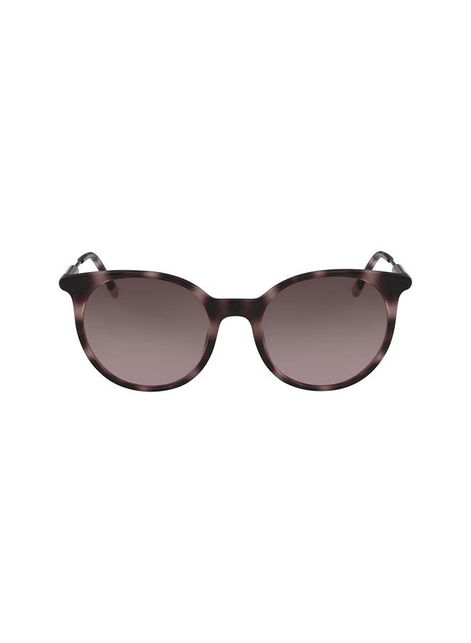 Women's Cat Eye Frame Sunglasses - Lens Size: 54 mm
