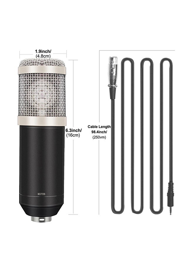 Professional Studio Recording Condenser Microphone Kit V8014 Black/Silver/White