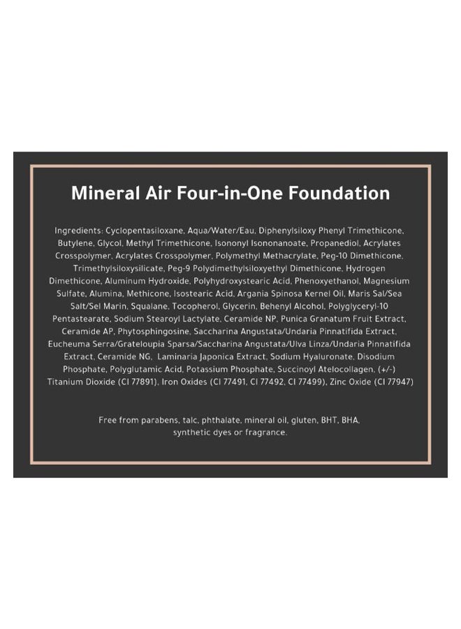 Four-In-One Long Lasting Liquid Foundation Mocha