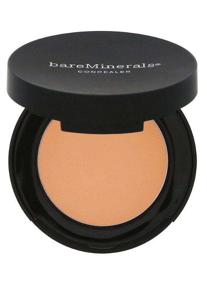 Correcting Concealer Powder 2 Tan