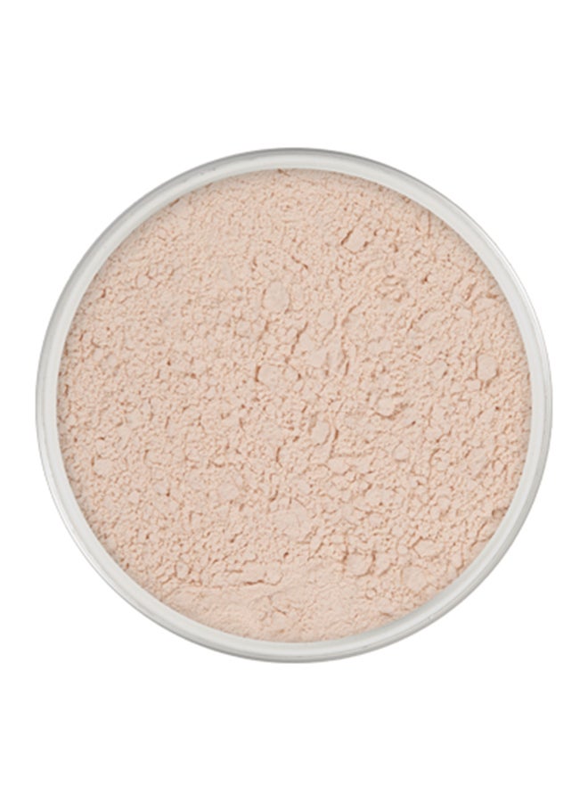 Professional Make up Translucent Powder Beige