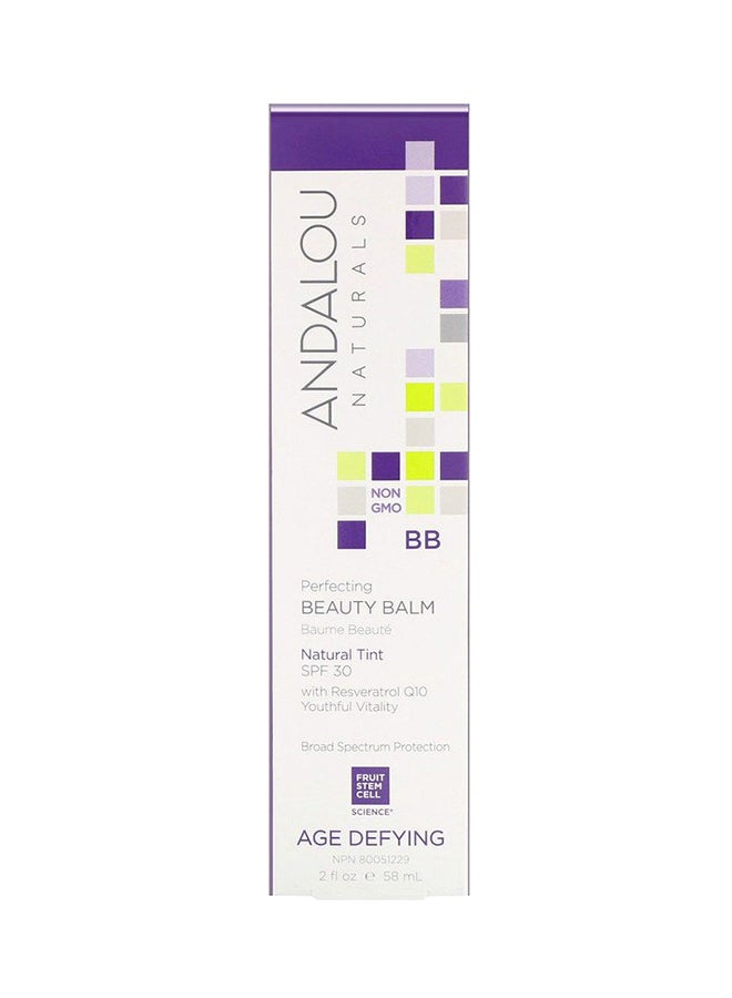 Skin Perfecting BB Beauty Balm SPF 30 Brown