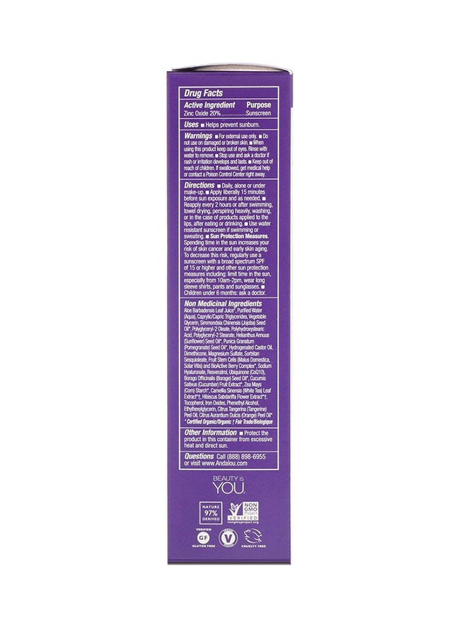 Skin Perfecting BB Beauty Balm SPF 30 Brown
