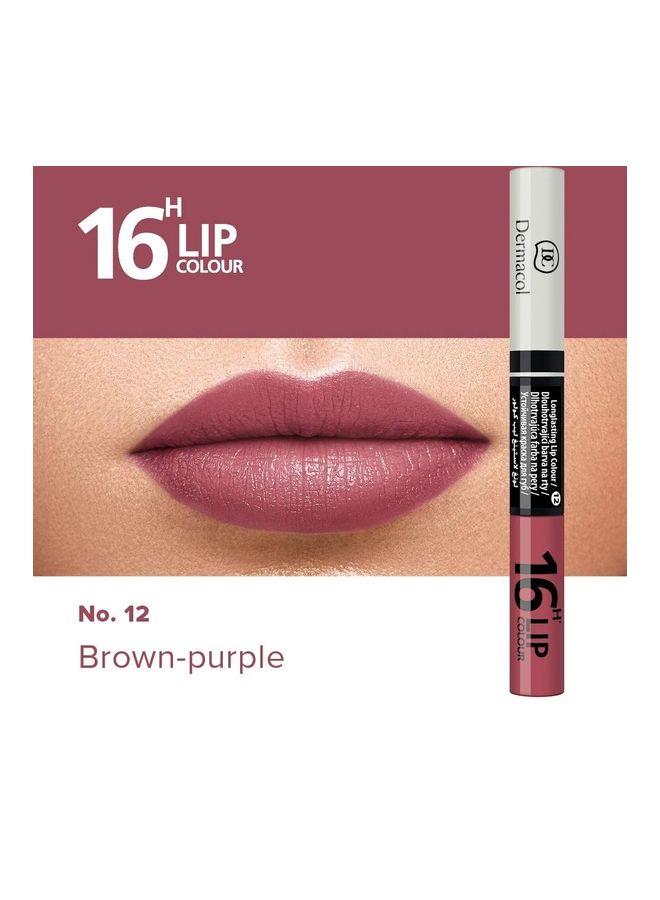 16H Lip Colour Brown- Purple