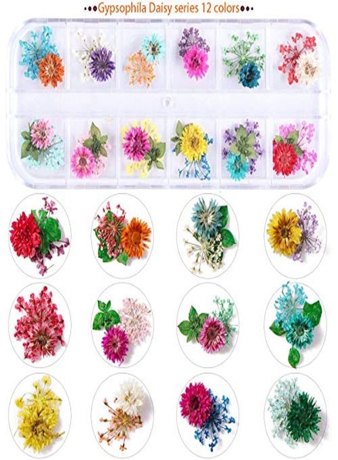 Es Nail Art Dried Flowersunime 24 Colors Dry Flowers Mini Real Natural Flowers Nail Art Supplies 3D Applique Nail Decoration Sticker For Tips Manicure Decor Accessoriesgypsophila Flowers Leaves