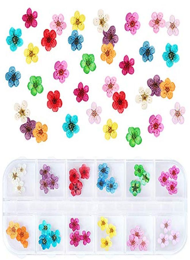 Dried Flowers For Nail Art Unime 12 Colors Dry Flowers Mini Real Natural Flowers Nail Art Supplies 3D Applique Nail Decoration Sticker For Tips Manicure Decor (Flowers)