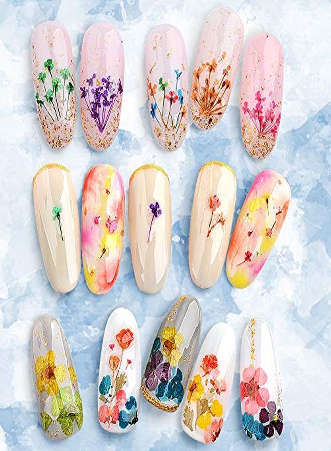 Dried Flowers For Nail Art Unime 12 Colors Dry Flowers Mini Real Natural Flowers Nail Art Supplies 3D Applique Nail Decoration Sticker For Tips Manicure Decor (Flowers)