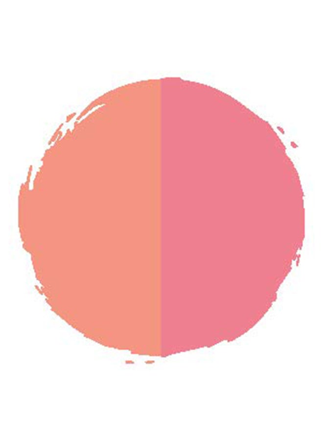 Prisme Blush Powder Duo 04 Rite