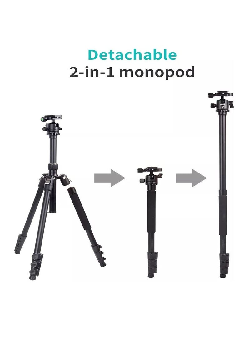 2-IN-1 Monopod tripod 360°Rotation Ball Head with Stable Hook Professional Tripod Stand for Tablet Mobile DSLR camera Action camera(Type 325-NB30)