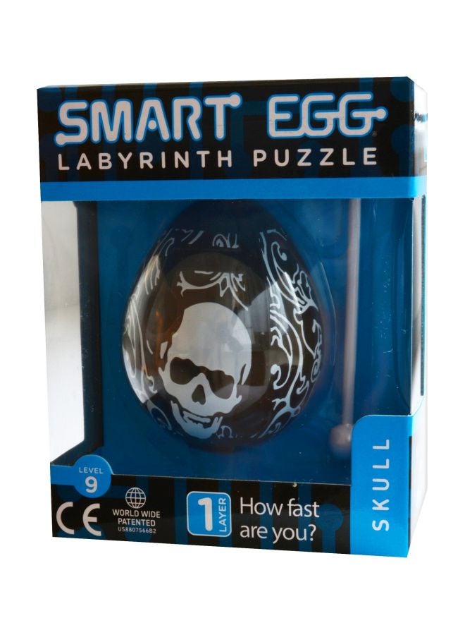 Labyrinth Brain Teaser Puzzle 30883