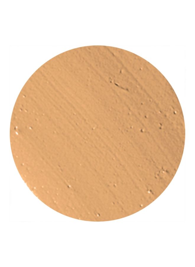 Oil Free Camouflage Concealer Golden Honey