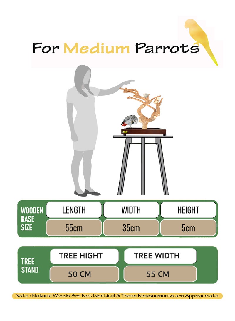 Bird wood stand for large size parrots