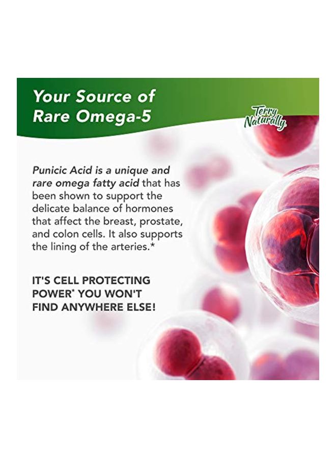 Pomegranate Seed Oil Dietary Supplement - 60 Softgels