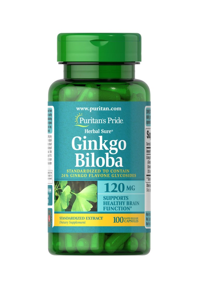 Ginkgo Biloba Standardized Extract 120 mg 100's