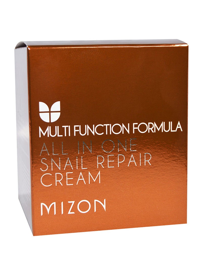 All In One Snail Repair Cream 75ml