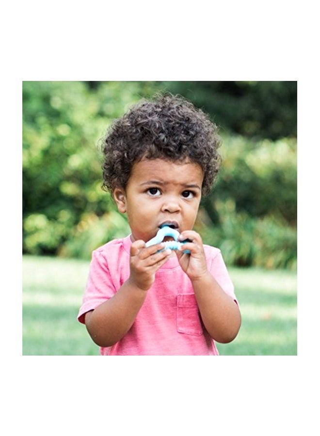 Sprouts Molar Teether