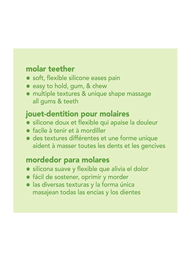 Sprouts Molar Teether