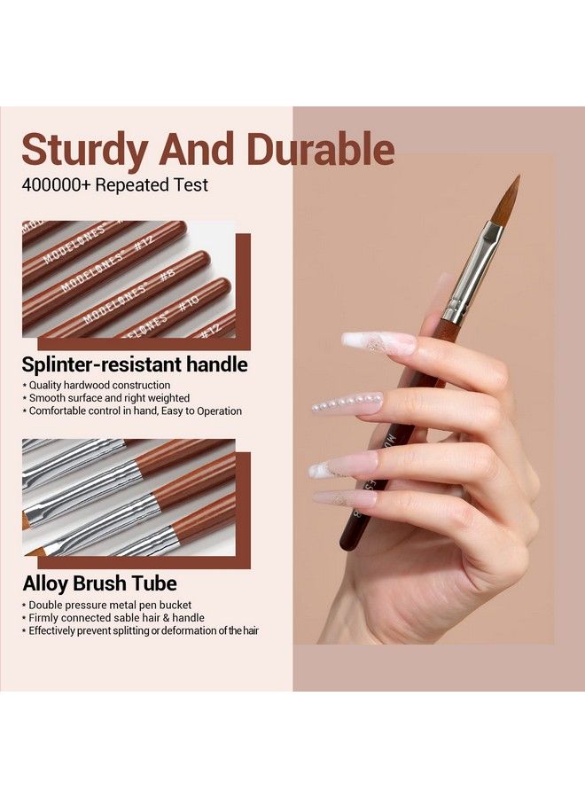 3Pcs Acrylic Nail Brush Set Size 81012 Kolinsky Acrylic Brushes For Acrylic Powder Application Nail Extension 3D Nail Carving Round Shaped Nail Art Brushes With Wooden Handle