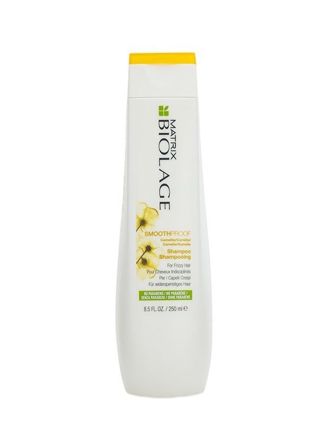 Biolage Smooth Proof Shampoo
