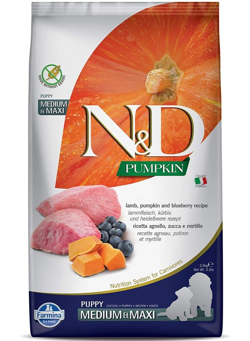 Lamb, Pumpkin and Blueberry Recipe Medium & Maxi Puppy Food, 2.5 Kg