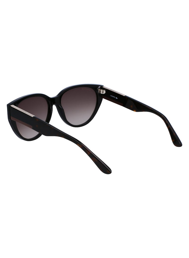 Full Rim Acetate Oval Lacoste Suns L985S 5916 (001) Black