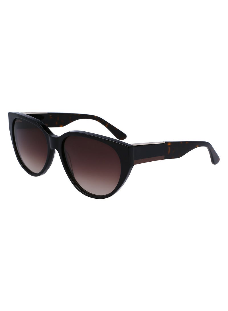 Full Rim Acetate Oval Lacoste Suns L985S 5916 (001) Black