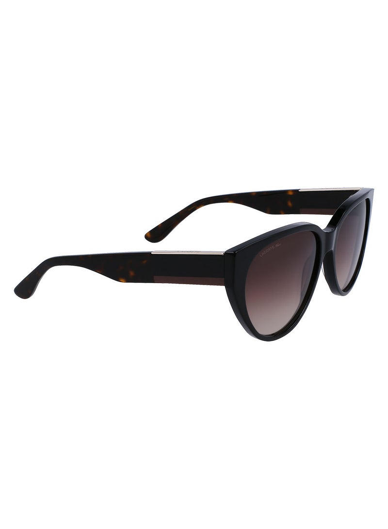 Full Rim Acetate Oval Lacoste Suns L985S 5916 (001) Black