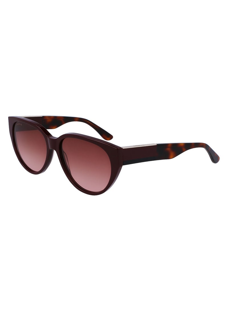 Full Rim Acetate Oval Lacoste Suns L985S 5916 (603) Dark Red