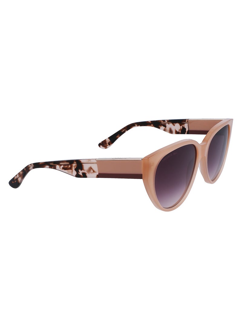 Full Rim Acetate Oval Lacoste Suns L985S 5916 (681) Peach Opaline