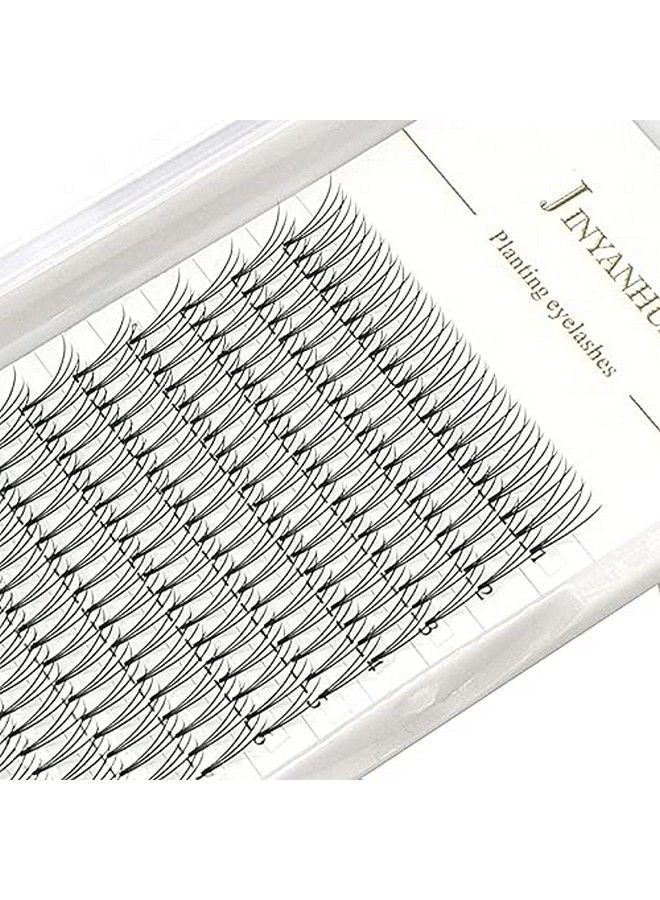 Soft Natural Premade Volume 2D Fans Eyelash Extension 010 Thickness 814mm Handmade Premade Cluster Volume Fans Faux Mink Lashes 3d (12mm 3D010C)