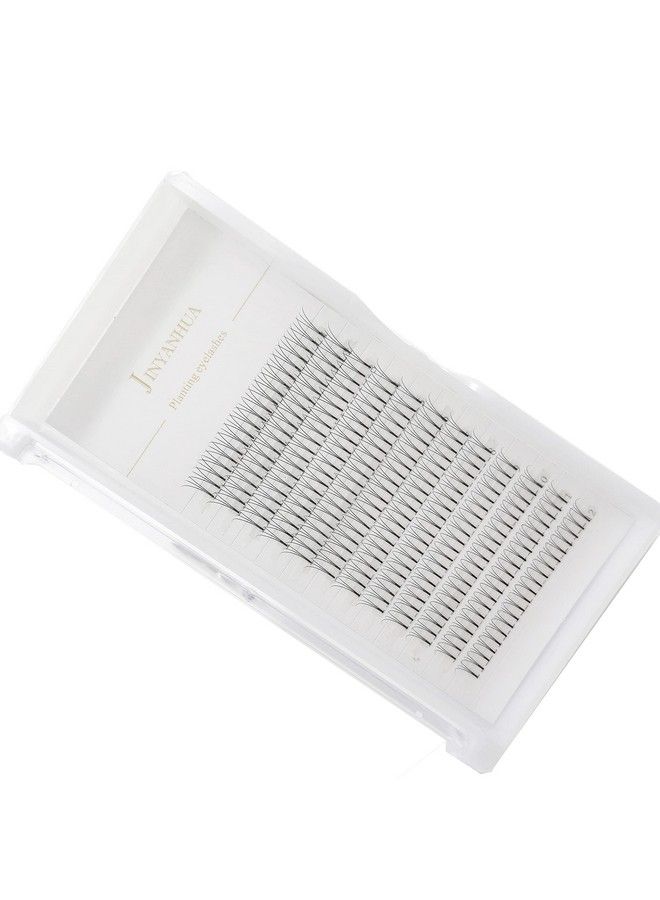 Soft Natural Premade Volume 2D Fans Eyelash Extension 010 Thickness 814mm Handmade Premade Cluster Volume Fans Faux Mink Lashes 3d (12mm 3D010C)