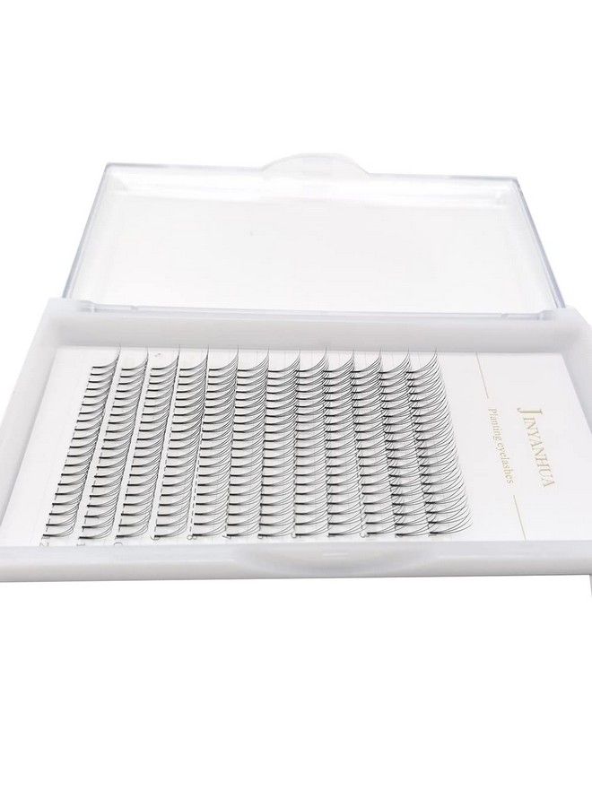 Soft Natural Premade Volume 2D Fans Eyelash Extension 010 Thickness 814mm Handmade Premade Cluster Volume Fans Faux Mink Lashes 3d (12mm 3D010C)