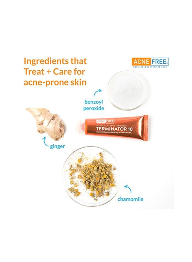 3-Piece Terminator 10 Acne Spot Treatment Set