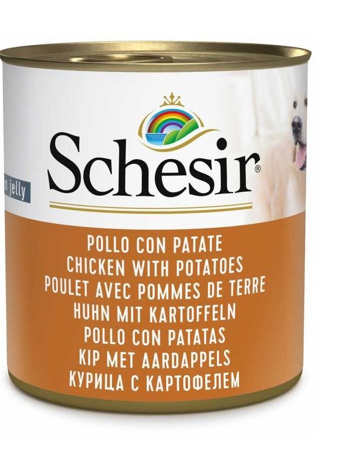 Dog Wet Food Chicken With Potatoes