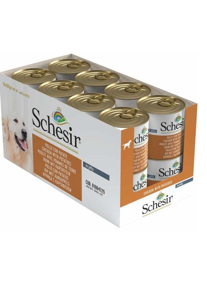 Dog Wet Food Chicken With Potatoes