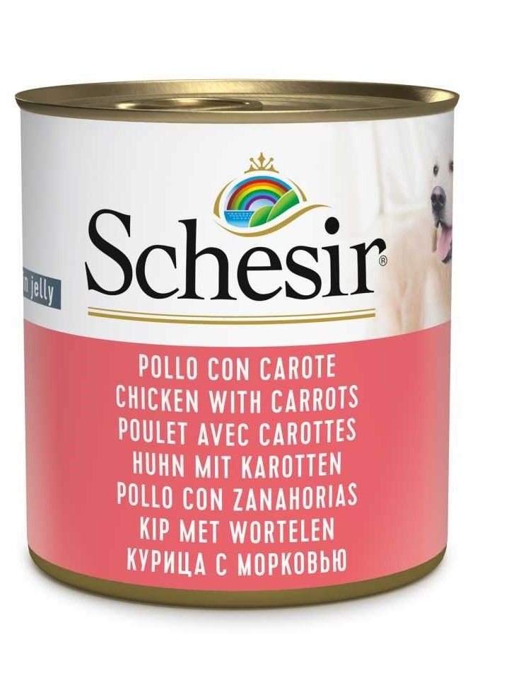 Chicken With Carrots Dog Wet Food