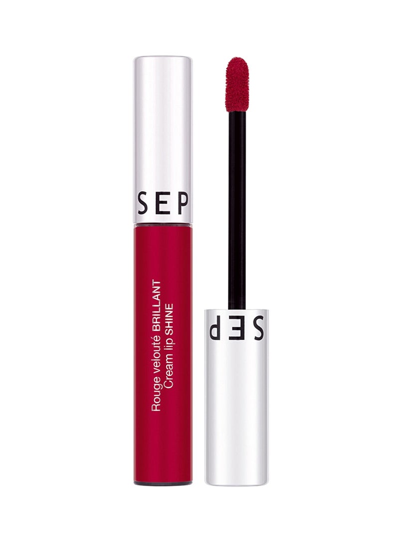 Cream Lip Shine Lipstick Black Cherry 10