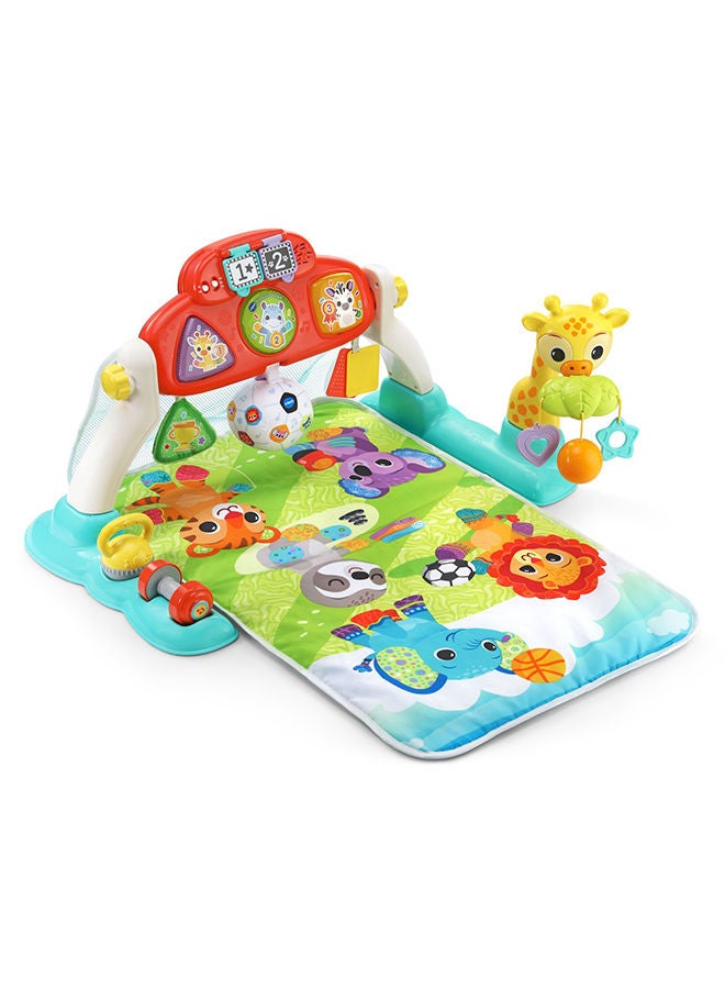 Kick And Score Play Gym