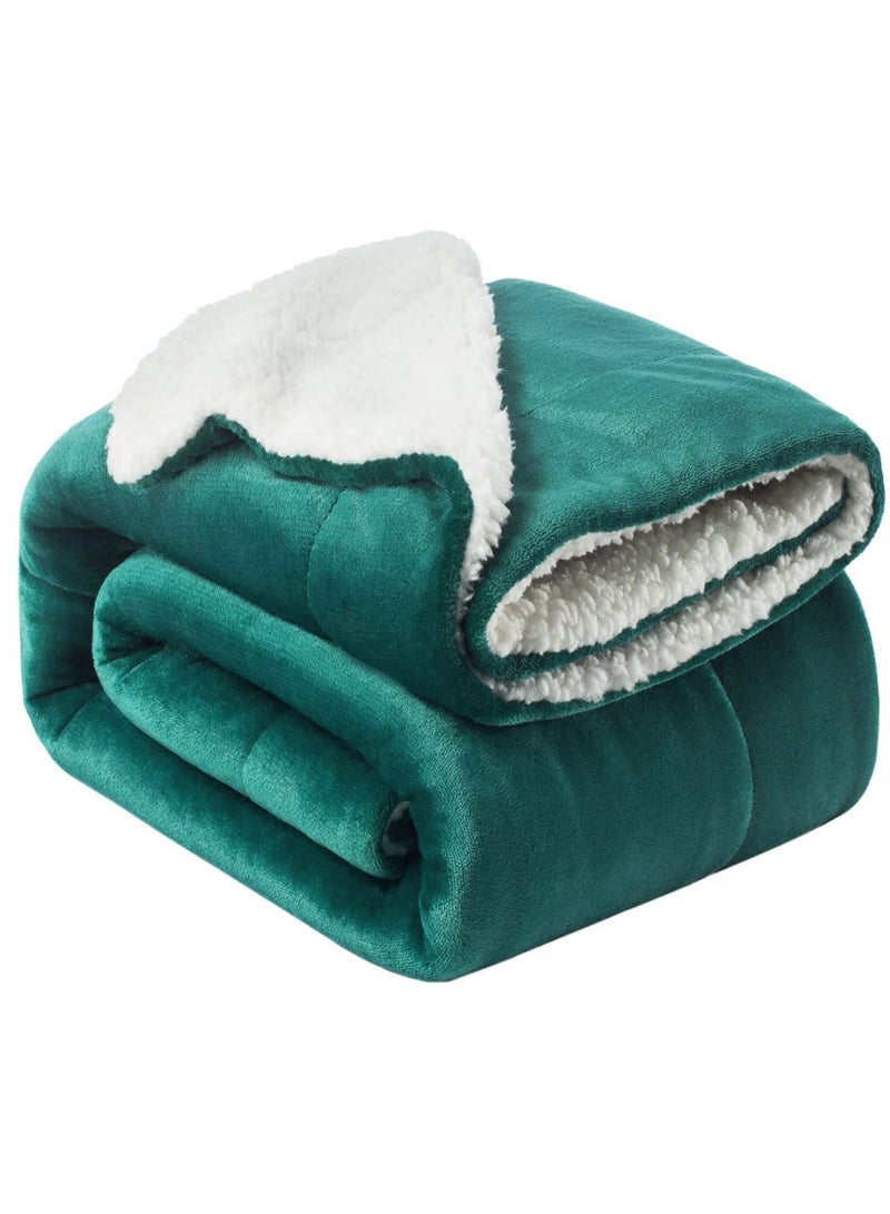 Silky Soft Sherpa Blanket King Size Ultra Plush Bed Blanket Green 220x240 cm