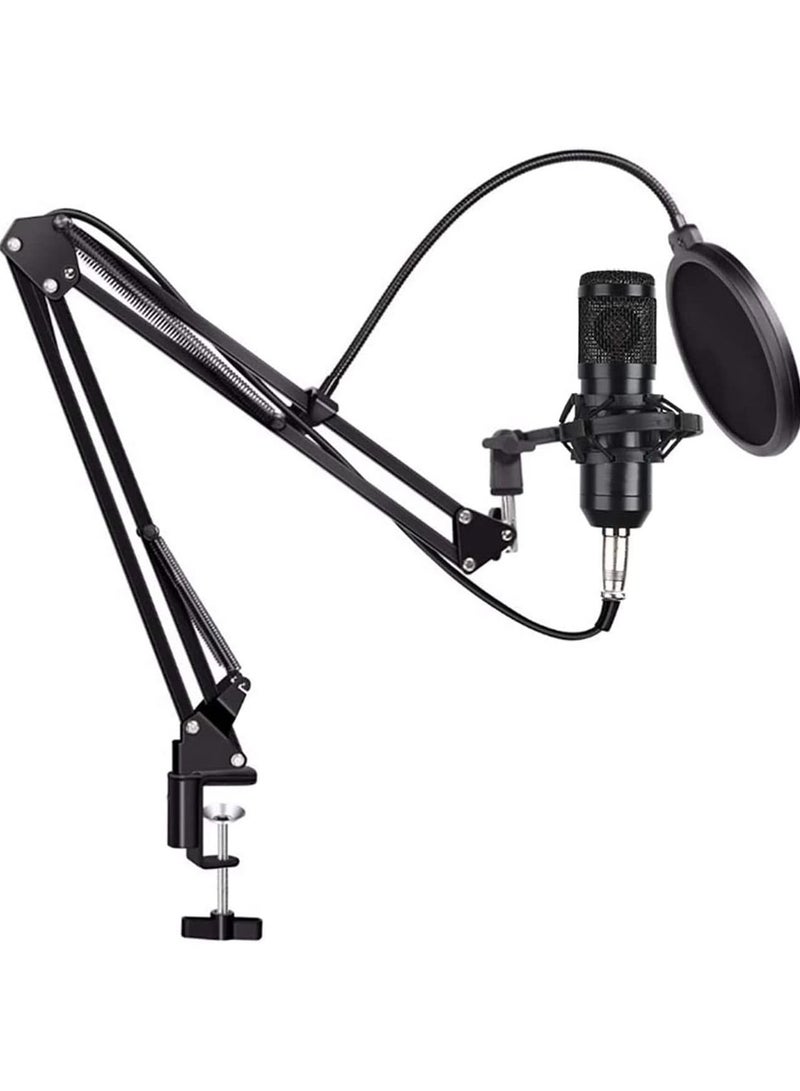 Beauenty for BM800 Professional Broadcasting Studio Recording Condenser Microphone Mic Kit with Sound card