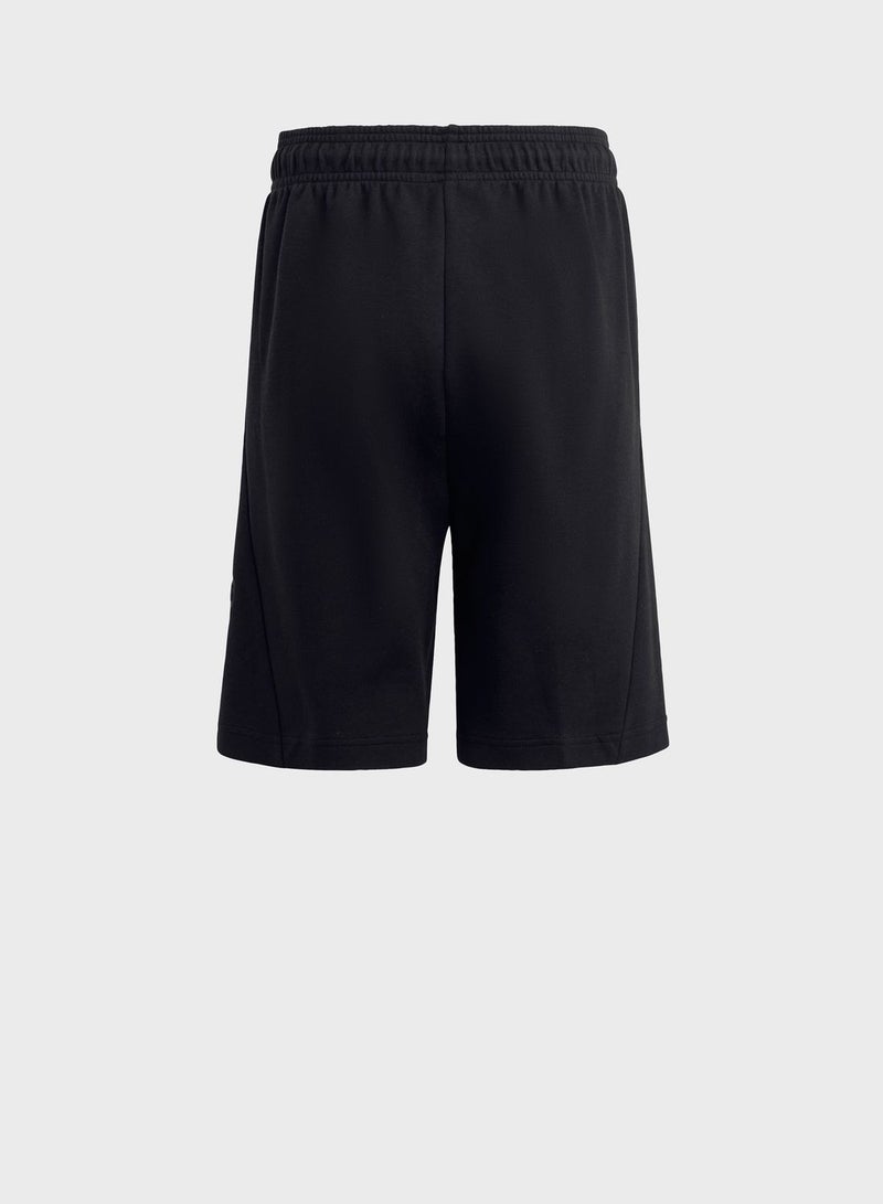 Futura Icon Shorts