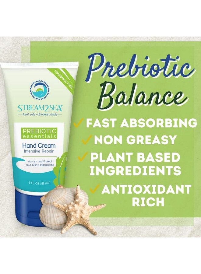 Unscented Intensive Repair Hand Cream Prebiotic Essentials | Antioxidant Rich Reef Safe Natural And Paraben Free Moisturizing Hand Cream | 3 Fl Oz By Stream2Sea